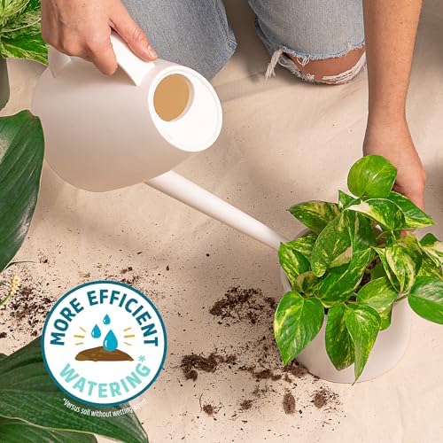Back to the Roots 100% Organic Indoor Potting Mix (6 Quart), Promotes Healthy Houseplant Growth, Made in The USA - Image 5