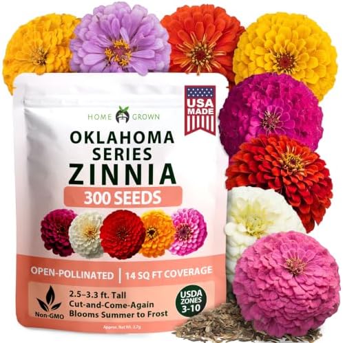 HOME GROWN Oklahoma Zinnia Seeds, 300 Seeds, Zinnia elegans by HOMEGROWN