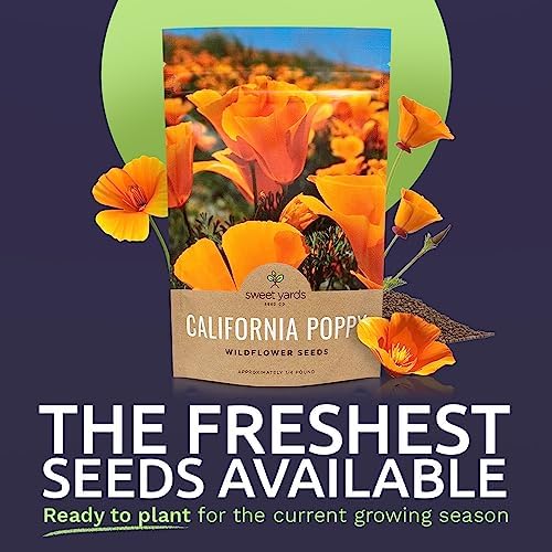 California Orange Poppy Wildflower Seeds - Bulk 1/4 Pound Bag - Over 80,000 Native Seeds - California State Flower! - Image 2