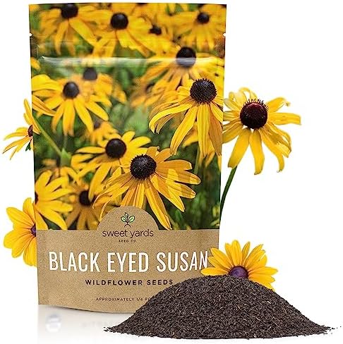 Black Eyed Susan Seeds – Bulk Quarter Pound Bag – Over 400,000 Open Pollinated Non-GMO Wildflower Seeds – Rudbeckia hirta by SweetYards