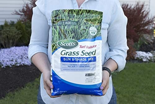 Scotts Turf Builder Grass Seed Sun & Shade Mix, Grows in Extreme Conditions & Spreads for a Durable Lawn, 7 lbs. - Image 2