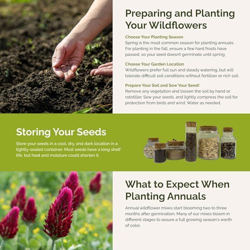 Eden Brothers Bee Happy Organic Wildflower Mixed Seeds for Planting, 1 lb, 480,000+ Seeds with Cosmos, Crimson Clover | Attracts Pollinators, Plant in Spring or Fall, Zones 3, 4, 5, 6, 7, 8, 9, 10 - Image 5