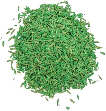 Pennington The Rebels Sun and Shade Grass Seed Mix, 40 Pounds - Image 3