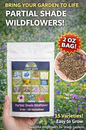 Partial Shade Wildflower Mix Seed (2oz) – Shade-Loving Wildflowers that Produce Vibrant Blooms in Low-Light Areas and Dappled Sun. Perfect for Yards, Garden beds, Fence Lines, and Woodland Edges. - Image 5