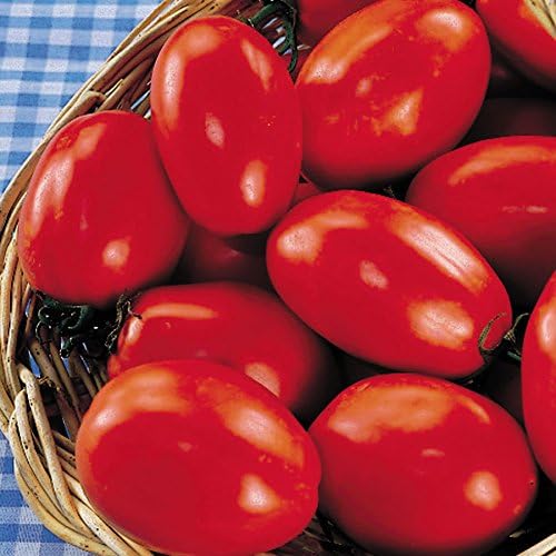 Park Seed Variety of Tomato Seeds, Planting Vegetables, Easy to Grow, Non-GMO, Perfect for Harvesting, San Marzano Organic, Pack of 30 by ParkSeed