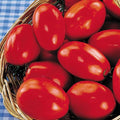 Park Seed Variety of Tomato Seeds, Planting Vegetables, Easy to Grow, Non-GMO, Perfect for Harvesting, San Marzano Organic, Pack of 30 by ParkSeed