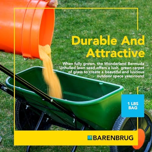 Barenbrug Wonderlawn Perennial Ryegrass Grass Seed for Southern Lawns, Fast-Acting Durable Grass Seed Mix for All Weather Conditions, 3-lb. Bag - Image 4