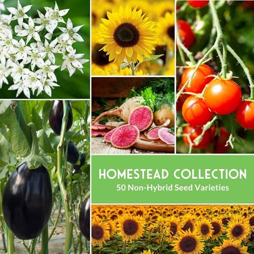 Homesteader 50 Pack Seed Vault for Planting Victory Gardens - Image 3
