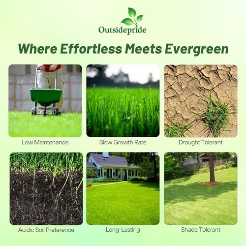Outsidepride Centipede Grass Seed - 1 Lb Slow Growing, Shade & Drought Tolerant, Coarse Leaved Warm Season General Purpose Turf Grass Seed, Ideal Versatile & Low Maintenance Lawn Solution - Image 2