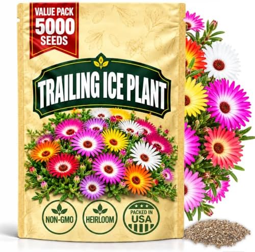 Trailing Ice Plant Seeds for Planting, Lampranthus spectabilis, Heirloom Non-GMO Mesembryanthemum spectabile Haw., High Germination Pink Purple Succulent Ground Cover, 5000 Count by WilyFox