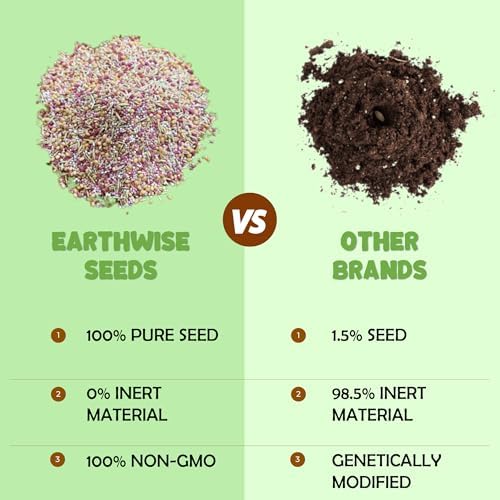 Earthwise Northeast Native Wildflower Seed Mix - 1/4 lb, 500 sq ft - Image 5