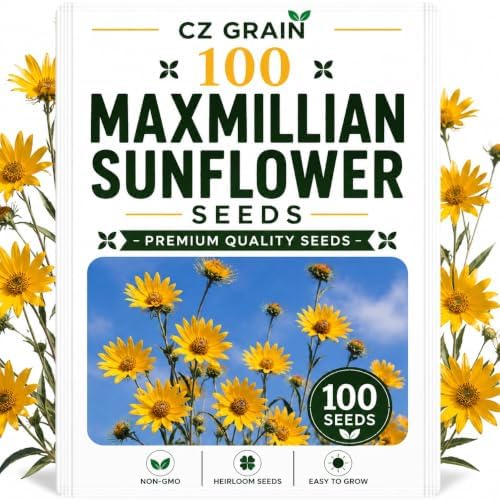 100 Maximilian Sunflower Seeds | Native Perennial Flowers for Planting by CZGrain