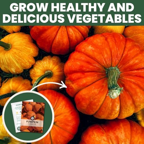 Sugar Pie Pumpkin Seeds – 40 Premium Seeds for Planting – Sweet, Small Baking Pumpkin Variety for the 2026 Season – 6 Gram Pouch - Image 7