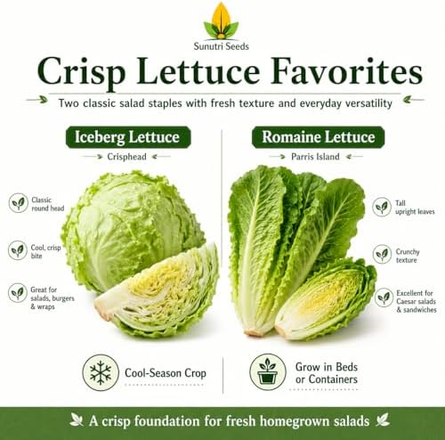 Salad Greens Variety Pack Seeds – 9 Heirloom Leafy Green Vegetable Seeds | Lettuce Kale Spinach Arugula Collards Beet Greens Mustard Cress for Raised Beds Containers Garden - Image 3