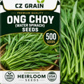Seeds for Planting, 500 Ong Choy by CZGrain