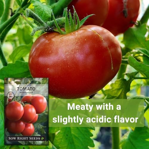 Sow Right Seeds - Homestead Tomato Seed for Planting Vegetable Garden - Image 5
