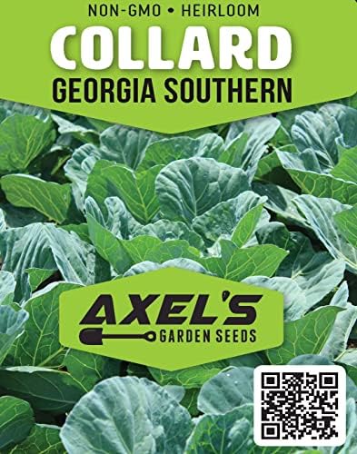 200+ Georgia Southern Collard Green Seeds for Planting - Heirloom Non-GMO - Image 2
