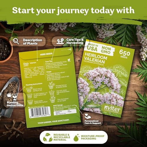 650 Valerian Heirloom Herb Seeds for Planting, Valeriana Officinalis - Image 2