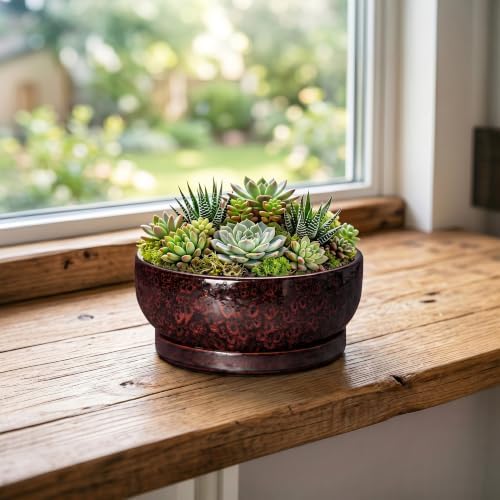 6 Inch Ceramic Succulent Planters with Saucer, Red Leopard - Image 3