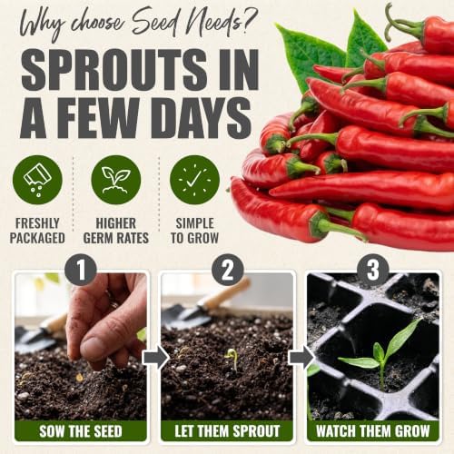 Seed Needs Thick Cayenne Pepper Seeds to Plant Vegetables - 10 Packs - Image 5