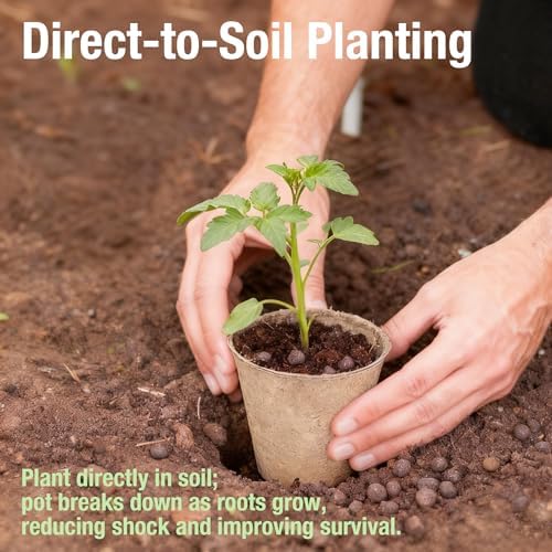 Peat Pots for Seedlings, Seed Starter Pots, 40 Pcs 3.15 Inch, Biodegradable Plant Starter Nursery Pots with Drainage Holes, Organic Round Planting Pots for Vegetables Herbs - Image 6