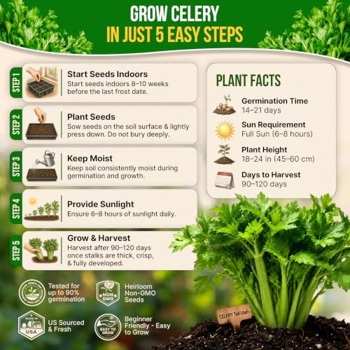 Tall Utah Celery Seeds Pack 2 G - Over 4,050 Non-GMO Heirloom Celery Seeds for Planting Vegetables in Individual Seed Packet - Image 6