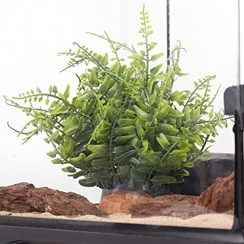 Green Boston Fern Reptile Plants, Amphibian Terrarium Habitat Décor - Image 5