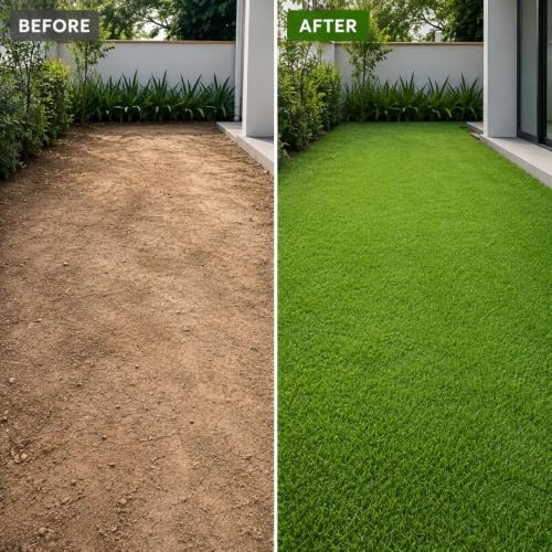 100,000 Emerald Zoysia Grass Seeds for Lawn - Image 3