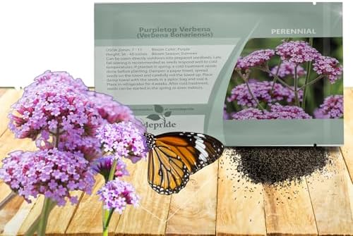 Outsidepride Purpletop Verbena Seeds for Planting - 5000 Pcs. Annual, Drought Tolerant & Easy to Grow, Ground Cover with Fragrant & Vibrant Blooms for Containers, Borders & Pollinator Gardens by Outsidepride