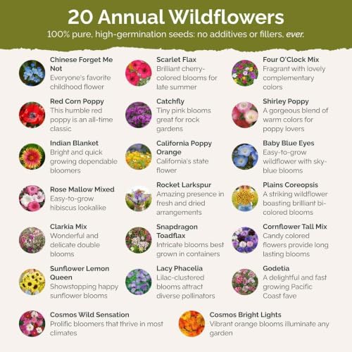 Eden Brothers All Annual Wildflower Mixed Seeds for Planting, 1 oz, Seeds with Sunflower, Indian Blanket, Scarlet Flax | Attracts Pollinators, Plant in Spring, Zones 3, 4, 5, 6, 7, 8, 9, 10 - Image 2