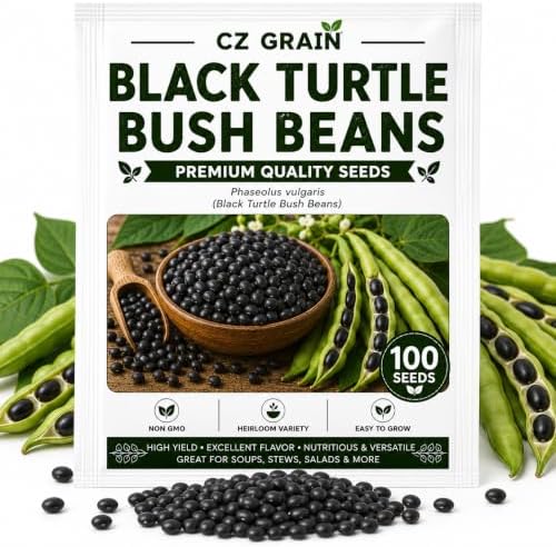 100 Black Turtle Bean Seeds | Heirloom Bush Beans | Seeds for Planting by CZGrain