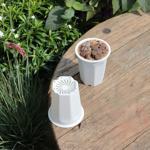 17 PCS 3.55" Plastic Deep Nursery and Seedling Pots, Transplant Seed Starter Planter, White - Image 5