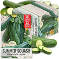 Seed Needs Black Beauty Summer Squash Seeds to Plant Vegetables - 20 Packs by SeedNeeds