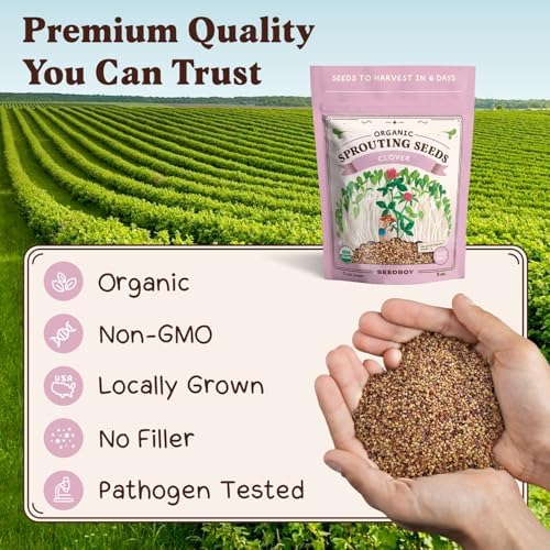 Seedboy Organic Non-GMO Sprouting Seeds (Red Clover) - Image 6