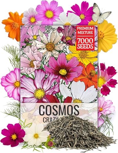 Seed Needs Cosmos Seeds Original Crazy Mix 1.5 Ounce Heirloom Bulk Pack by SeedNeeds