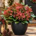 Christmas Artificial Magnolia Leaves Fake Winter Plants for Outdoor Planter by KAFDY