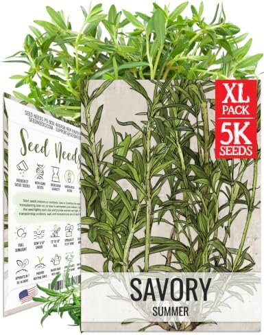 Seed Needs Summer Savory Seeds to Plant Non-GMO & Heirloom Herbs XL Pack by SeedNeeds