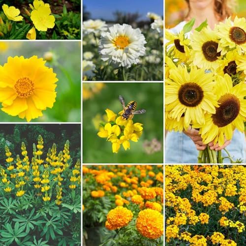 Eden Brothers Ole Yeller Wildflower Mixed Seeds for Planting, 5 lb, 2,400,000+ Seeds with African Marigold, Sunflower | Attracts Pollinators, Plant in Spring or Fall, Zones 3, 4, 5, 6, 7, 8, 9, 10 by EdenBrothers