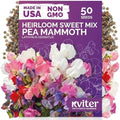 50 Sweet Pea Mammoth Mix Heirloom Flower Seeds, Lathyrus Odoratus by KVITER