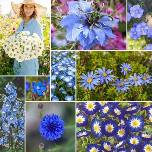 Eden Brothers Blue Ribbon Flower Mixed Seeds for Planting, 1/4 lb, 120,000+ Seeds with Blue Bell, Cornflower Blue, Chicory, Attracts Pollinators, Plant in Spring or Fall, Zones 3, 4, 5, 6, 7, 8, 9, 10 by EdenBrothers