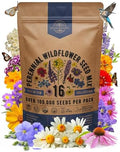Organo Republic 16 Perennial Wildflower Seeds Mix for Indoor & Outdoors. 100,000+ Non-GMO, Heirloom Wildflower Garden Seeds, 4oz Packet for Growing Wild Flowers to Attract Bees, Butterflies & Birds by OrganoRepublic