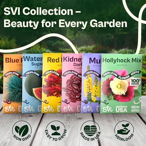 SVI 1000 Red Sage Seeds for Planting Outdoors (Salvia coccinea) – Scarlet sage, Deer Resistant Wildflower – Heirloom Flower Seeds to Plant Outside & Inside Garden, Beds, Containers - Image 7