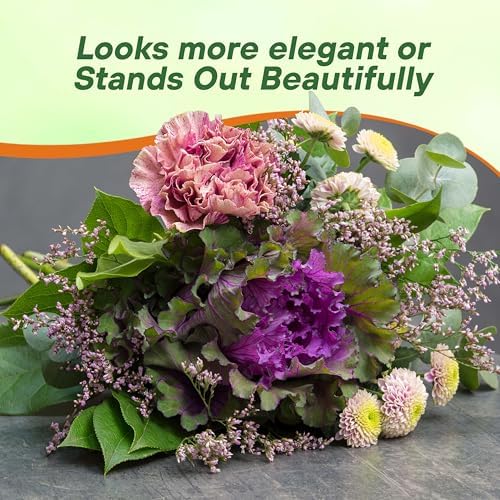Outsidepride Ornamental Cabbage Flower Seeds - 1000 Pcs. Annual, Cold Tolerant & Low Maintenance, Flower Seeds for Planting Vibrant Mixed Blooms, Great for Garden Edging, Borders, & Container Displays - Image 6