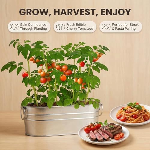 Cherry Tomato Grow Kit, All-in-One Indoor Vegetable Garden Starter Kit with Metal Planter, Complete Growing Set for Beginners, Kitchen Windowsill & Home Gardening & Plant Lovers Gift - Image 4
