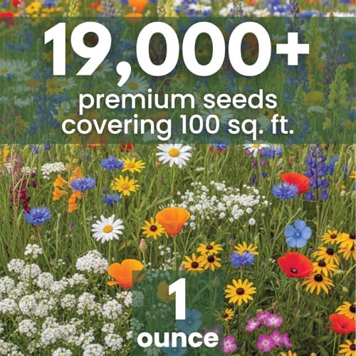 California Regional Mix – 19,000 Seeds for Planting – 2026 Season – 1 Ounce Pouch - Image 2