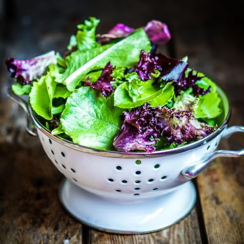 2400+ Lettuce Mix Seeds for Planting - Heirloom Non GMO - Image 5