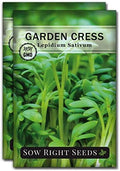 Sow Right Seeds - Garden Cress Seed for Planting Kitchen Herb Garden 2pk by SowRightSeeds
