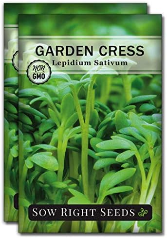 Sow Right Seeds - Garden Cress Seed for Planting Kitchen Herb Garden 2pk by SowRightSeeds