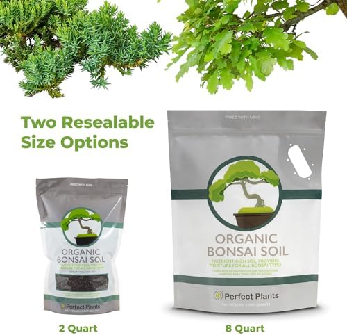 Perfect Plants Bonsai Soil, 2 qt, Organic All-Purpose Potting Mix - Image 4