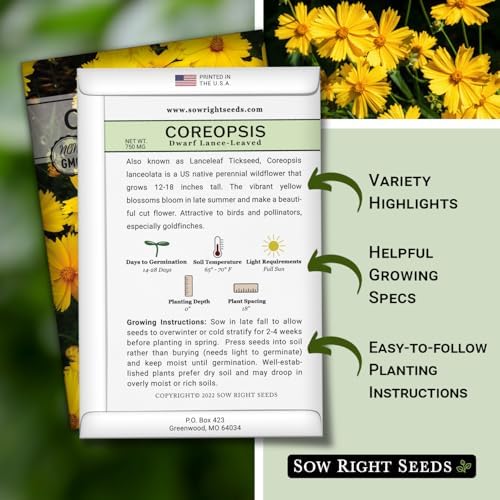 Sow Right Seeds-Dwarf Lance-Leave Coreopsis Seed for Planting Perennial 3pk - Image 2